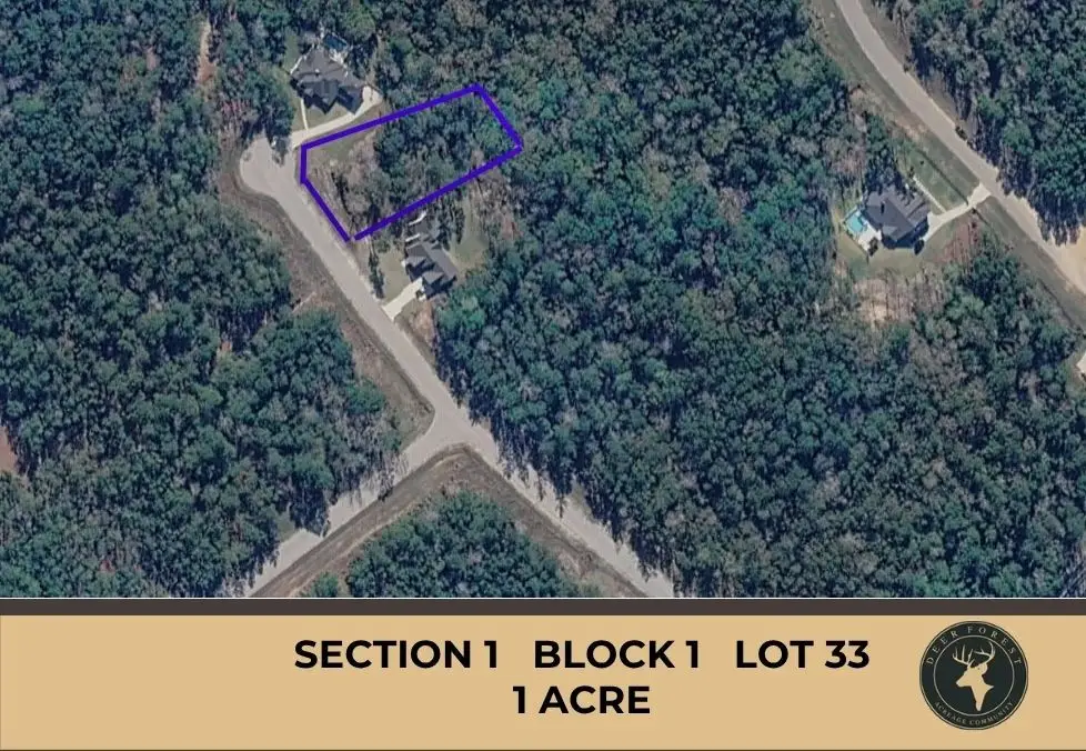 147 Eagle Run Road, Willis, TX 77378 - #1