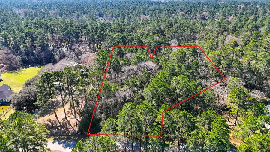 26211 Penguin Street, Magnolia, TX 77355 - #3