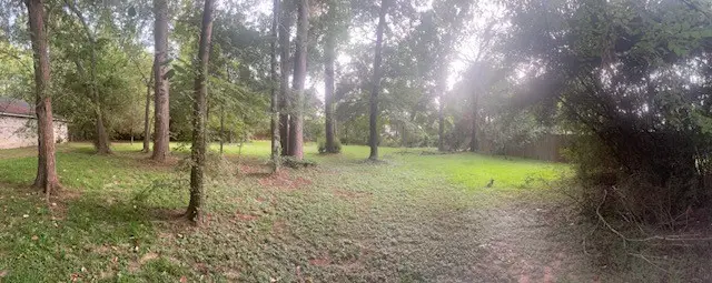 0 Woodland Manor, Willis, TX 77378 - #3