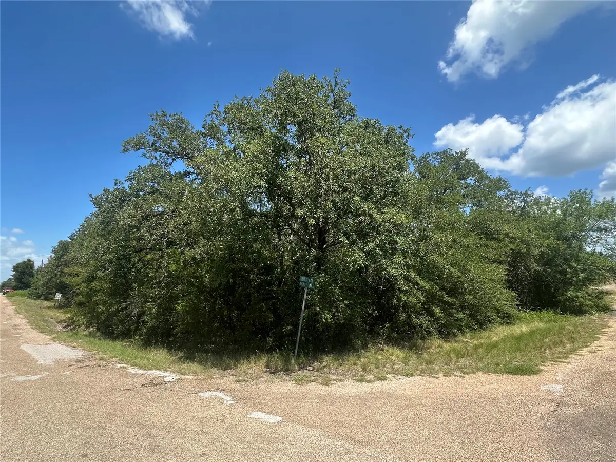 TBD Shady Oak Street, Somerville, TX 77879 - #1