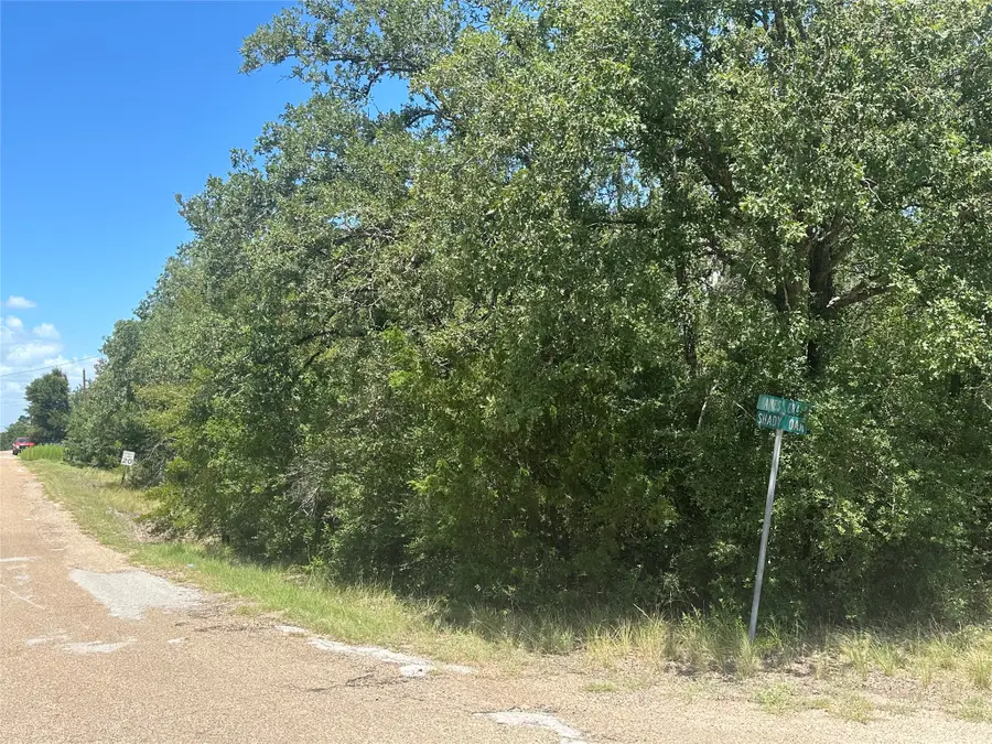 TBD Shady Oak Street, Somerville, TX 77879 - #3