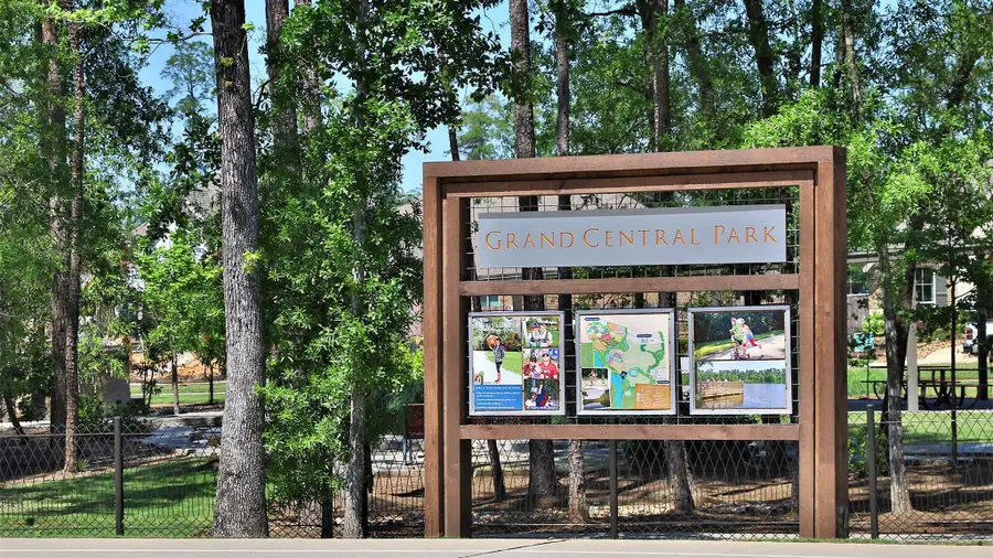 256 Navasota Narrows Court, Conroe, TX 77304 - #3