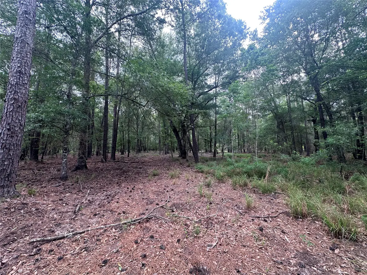 2518 Fm 943, Livingston, TX 77351 - #1