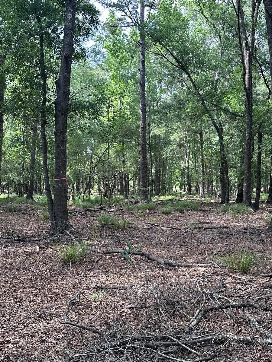 2518 Fm 943, Livingston, TX 77351 - #3