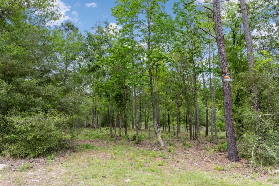 15396 Forest Grove Drive, Willis, TX 77378 - #2