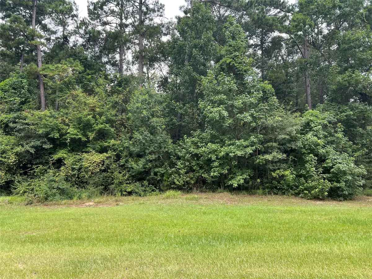 TBD Lure Lane, Livingston, TX 77351 - #1