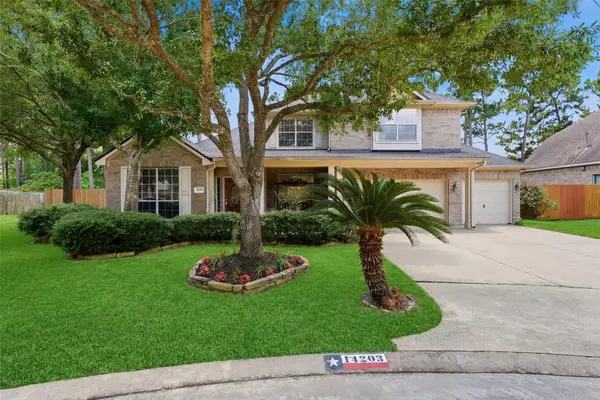 14203 Chapel Hollow Lane Lane, Cypress, TX 77429