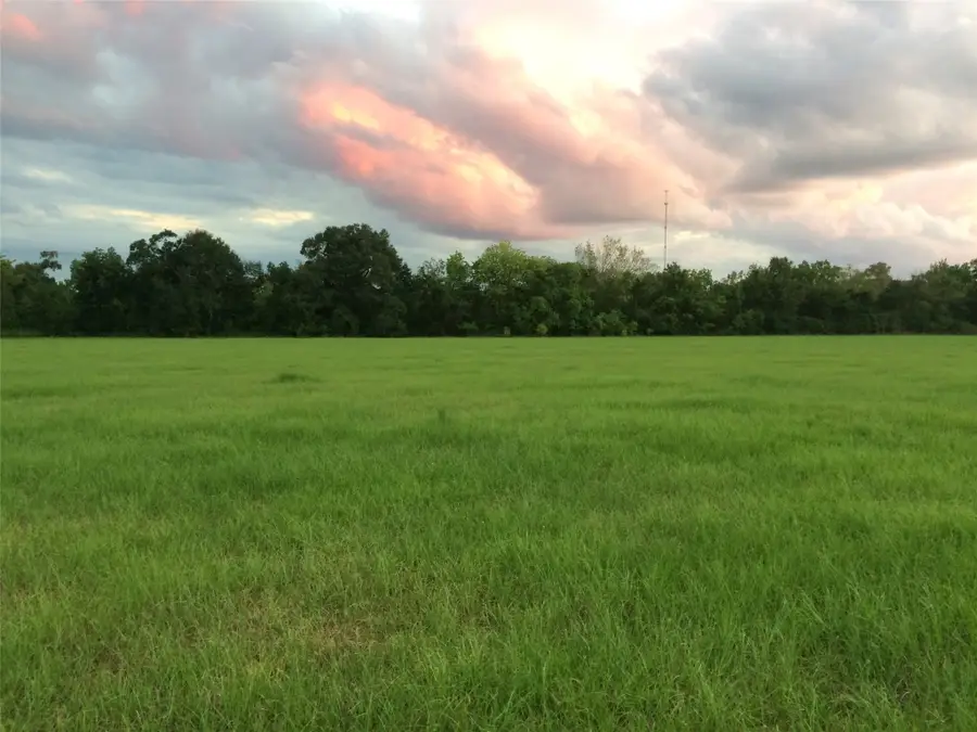 347 E Caroline St, Trinity, TX 75862 - #3