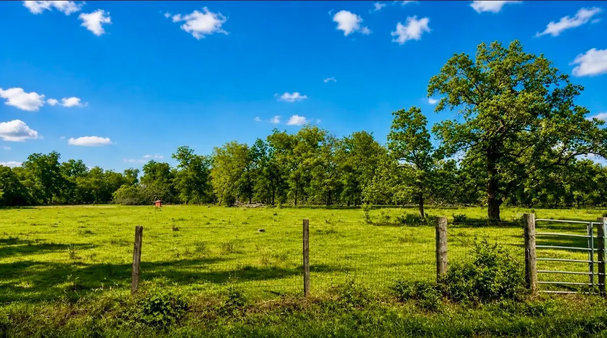 0 County Road 42, Rosharon, TX 77583 - #1