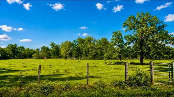 0 County Road 42, Rosharon, TX 77583