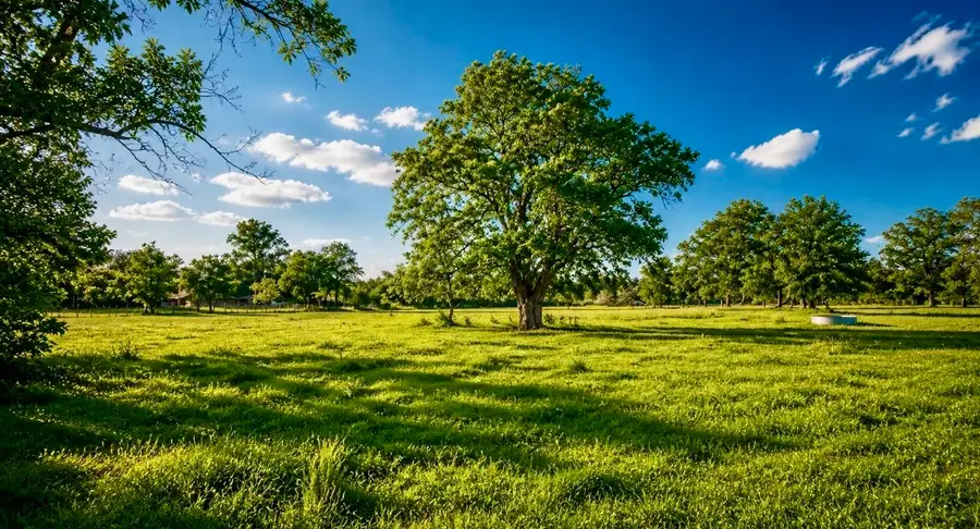 0 County Road 42, Rosharon, TX 77583 - #2