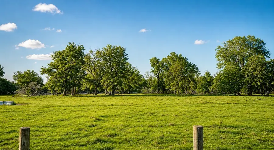 0 County Road 42, Rosharon, TX 77583 - #3