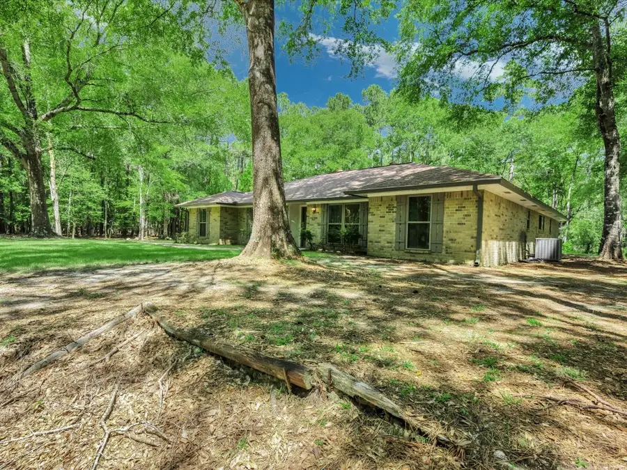 408 W Eucalyptus Street, Village Mills, TX 77663 - #3