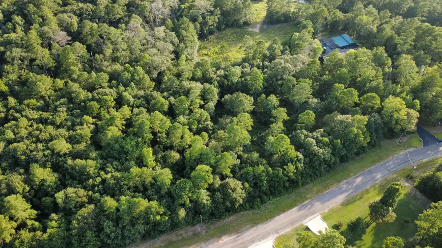 0 Sundog Road Road, Huntsville, TX 77340 - #3