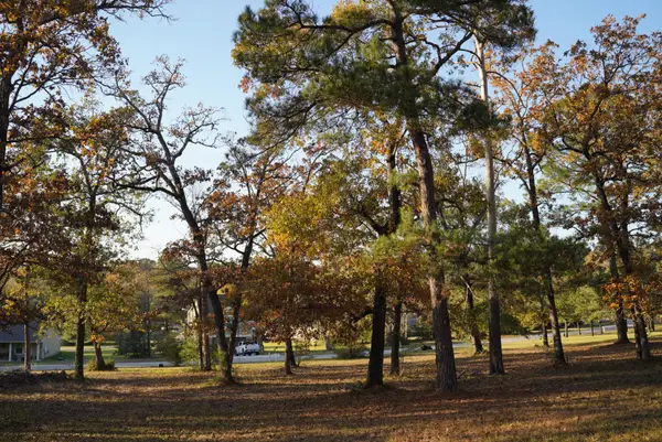 26 Hillsborough Drive, Huntsville, TX 77340