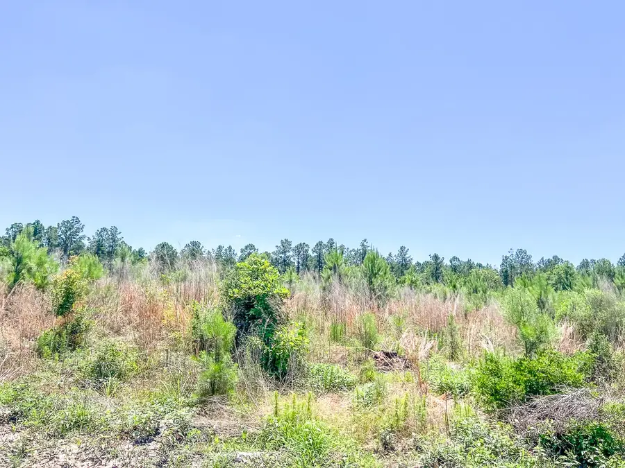 T-1 Union Springs Road, Corrigan, TX 75939 - #2