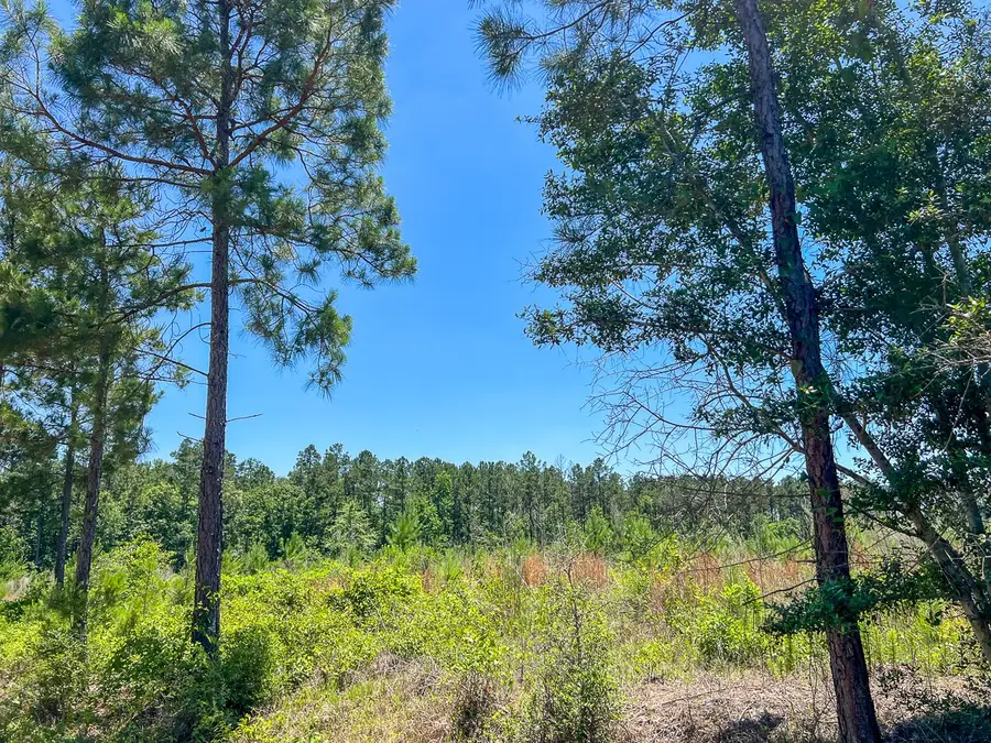 T-1 Union Springs Road, Corrigan, TX 75939 - #3
