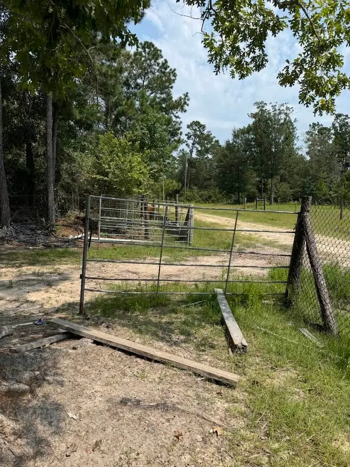 745 E Pine Pebble, Livingston, TX 77351 - #3