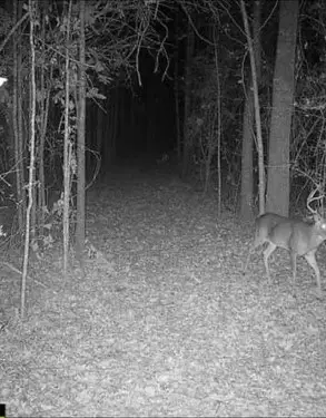 15-34-23 Sandstone Lane, Huntsville, TX 77340 - Image #2