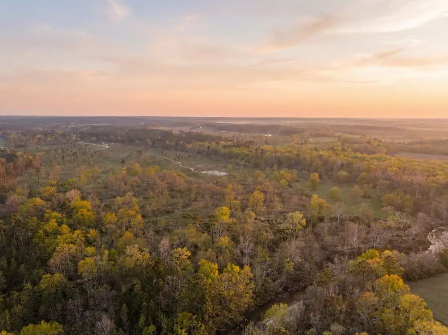 Lot 5 Johnson Drive, Livingston, TX 77351 - #2