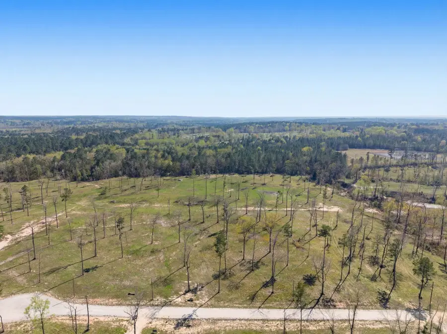 Lot 5 Johnson Drive, Livingston, TX 77351 - #3