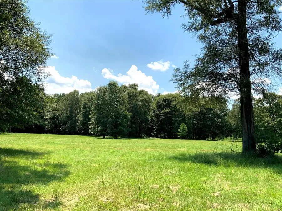 783 County Road 377, Cleveland, TX 77327 - #3