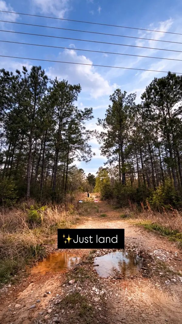 6785 Fm 1003, Kountze, TX 77625