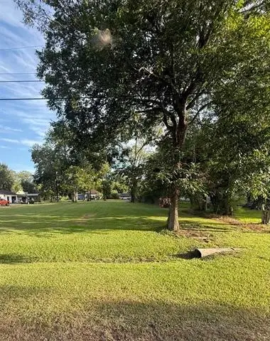 TBD Cora Lee Street, Sour Lake, TX 77659