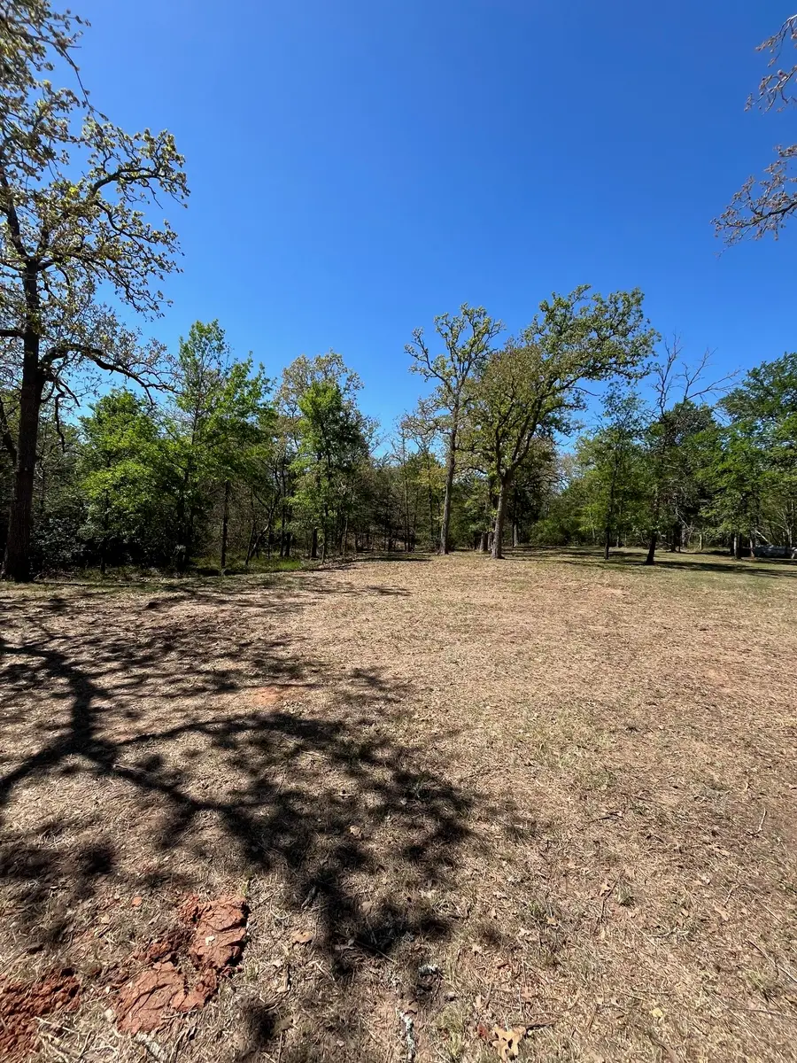 409 Bengals Bend, Somerville, TX 77879 - #2