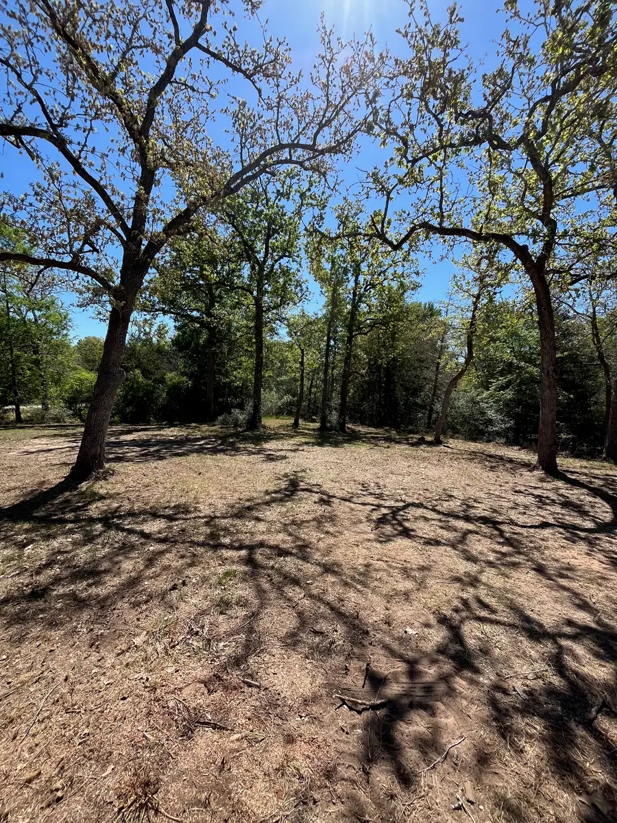 409 Bengals Bend, Somerville, TX 77879 - #3