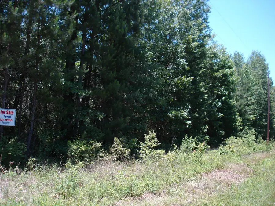 0001 Pelican Road, Shepherd, TX 77371 - #2