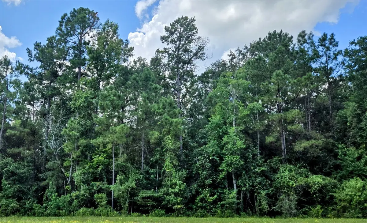 157 Rock Ranch Drive, New Waverly, TX 77358 - Image #1