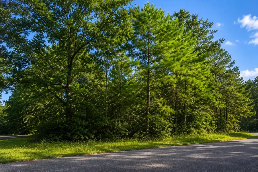 TBD Hackberry Drive, Onalaska, TX 77360 - #3