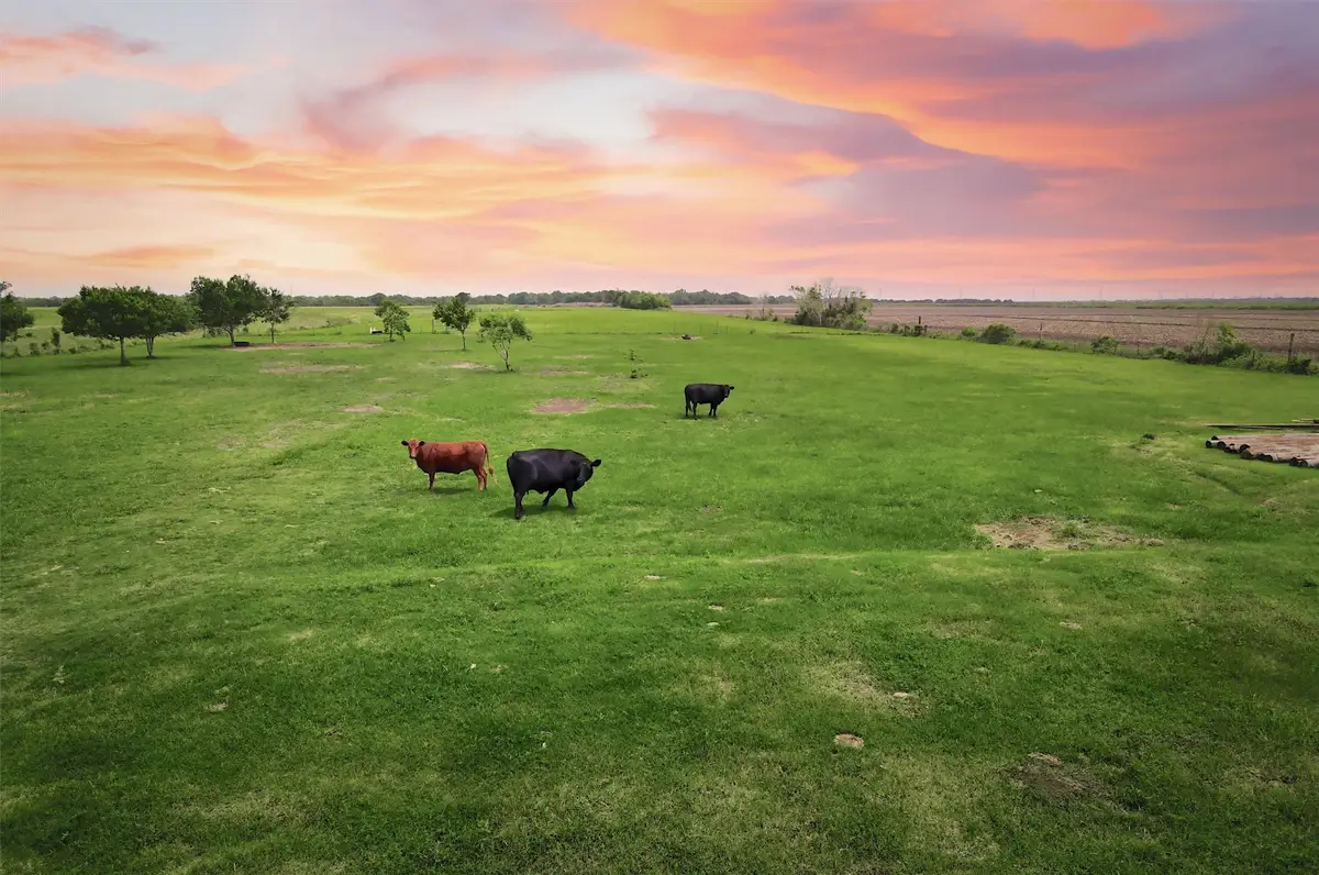 8007 County Road 170, Alvin, TX 77511 - #1