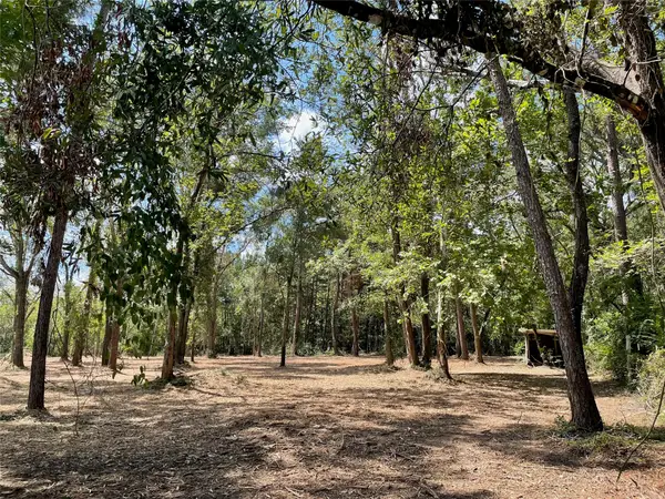 20804 Oakshade Drive, New Caney, TX 77357