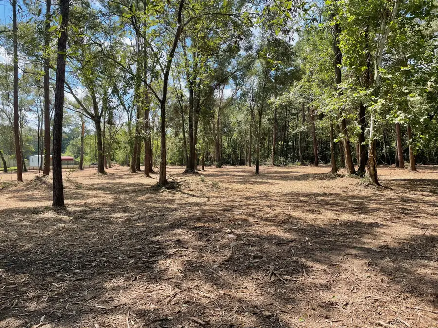 20804 Oakshade Drive, New Caney, TX 77357 - Image #2