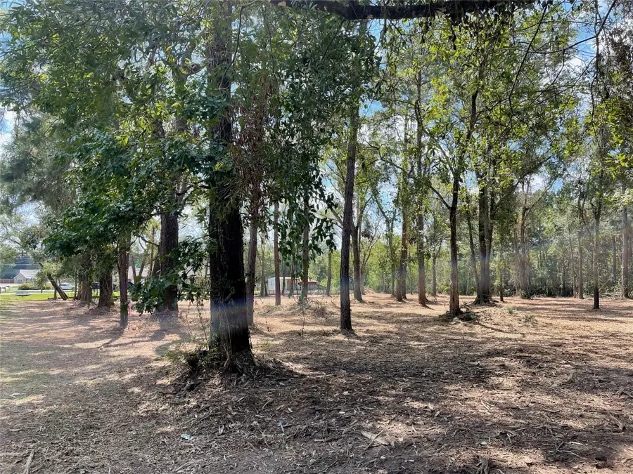 20804 Oakshade Drive, New Caney, TX 77357 - Image #3