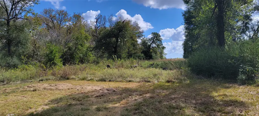 PR. 1100 Road, Leona, TX 75850 - #3