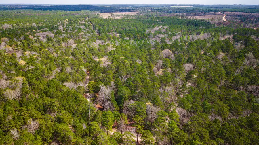 TBD Tract 4 Triple Creek Loop, Livingston, TX 77351 - #2