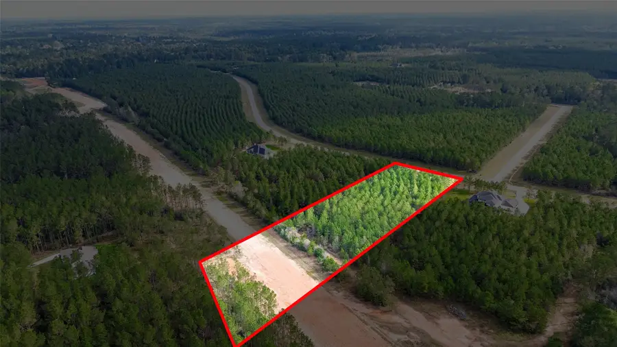 15661 Wood Grove Way, Willis, TX 77378 - #2