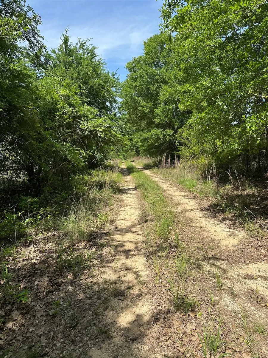 TBD Spur 935, Teague, TX 75860 - Image #2