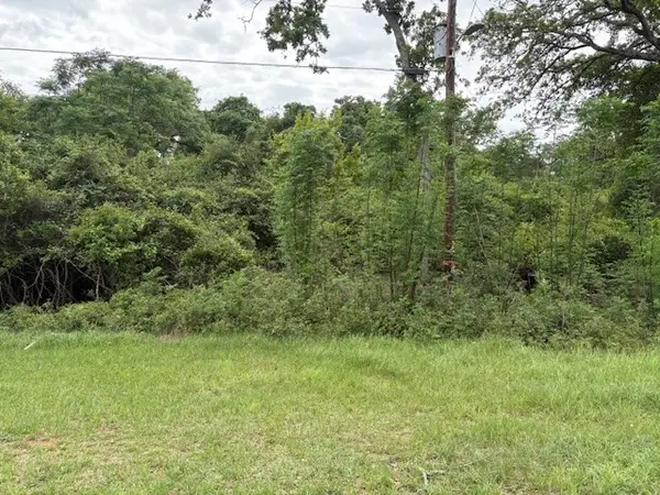 TBD Arnold Palmer Lane, Normangee, TX 77871