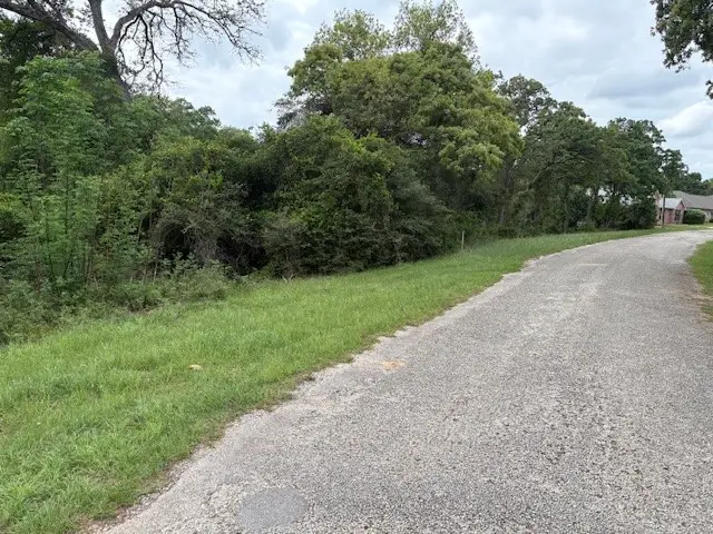 TBD Arnold Palmer Lane, Normangee, TX 77871 - #3
