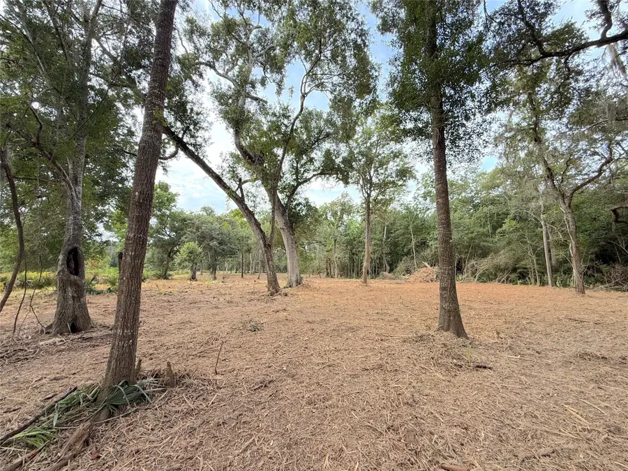 Lot 12A2 Cr 345, Brazoria, TX 77422 - #3