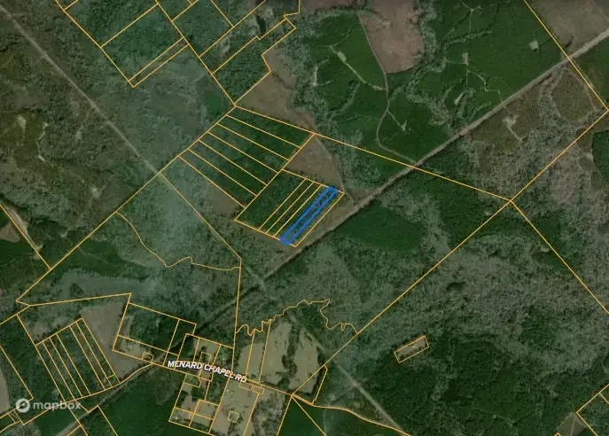 00 Menard Chapel Road, Livingston, TX 77351 - Image #2