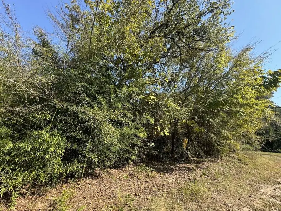 22785 Lakeway Harbor, Flint, TX 75762 - Image #3