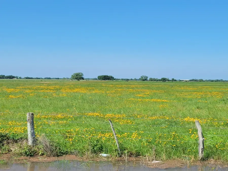 TBD Beasley West End Road, Beasley, TX 77417 - #3
