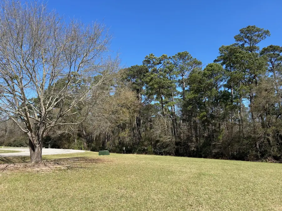 7 Wildwood Lake Drive, Huntsville, TX 77340 - #3