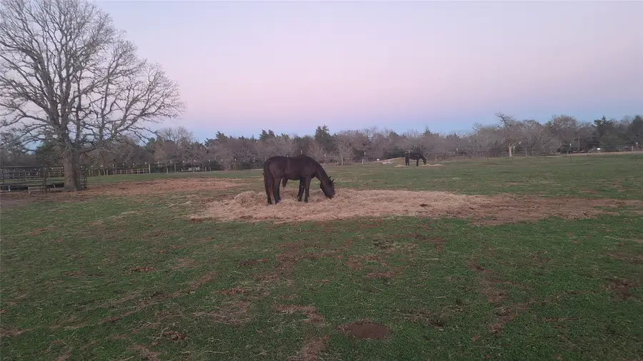 TBD Harris Tap Lane Lane, North Zulch, TX 77872 - #2