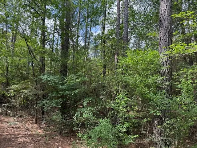 0 Gum Tree Lane, Plantersville, TX 77363 - #3